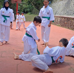 Kaki Langit